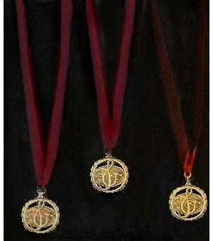 Photo of Medal of Distinction display hanging on board at Recital